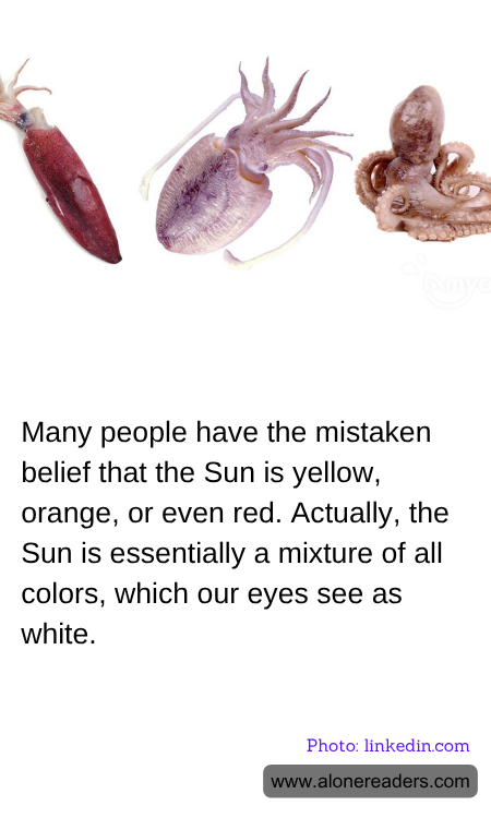 General Knowledge Learning Cards