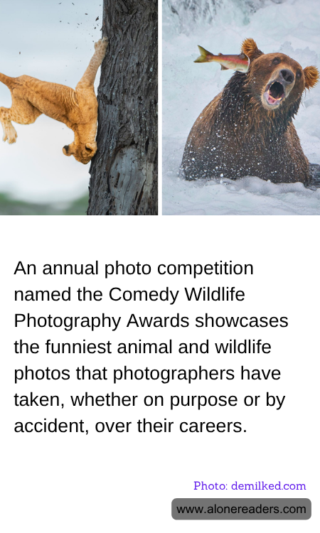 General Knowledge Learning Cards