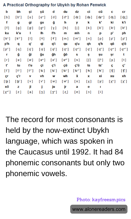 General Knowledge Learning Cards