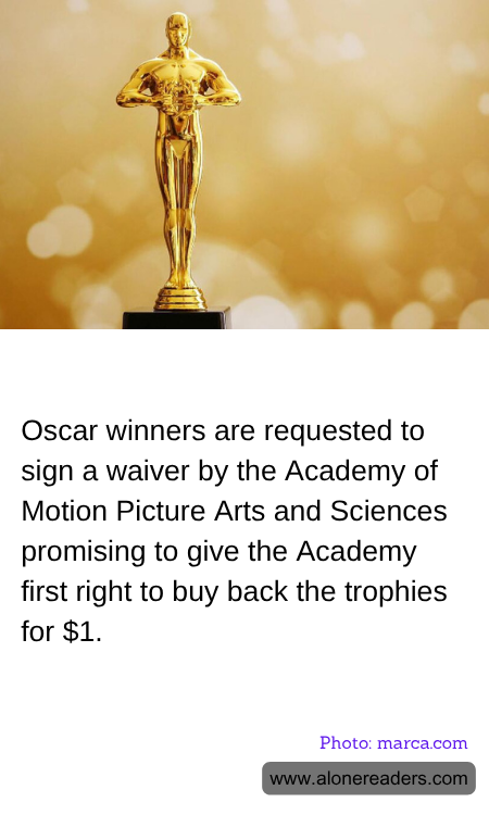 General Knowledge Learning Cards