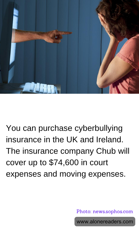 General Knowledge Learning Cards