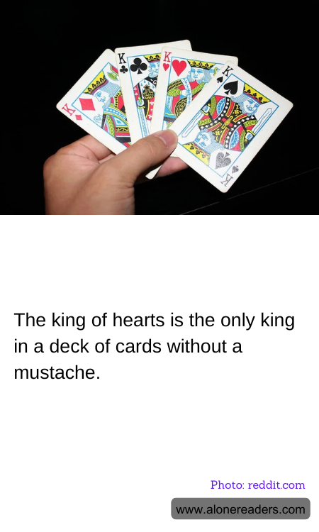 General Knowledge Learning Cards