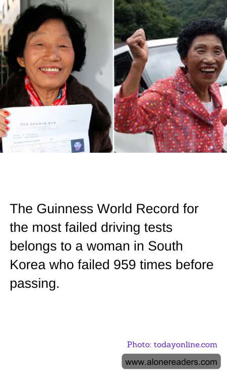 General Knowledge Learning Cards