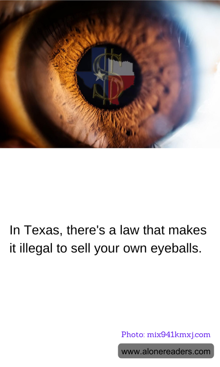 General Knowledge Learning Cards