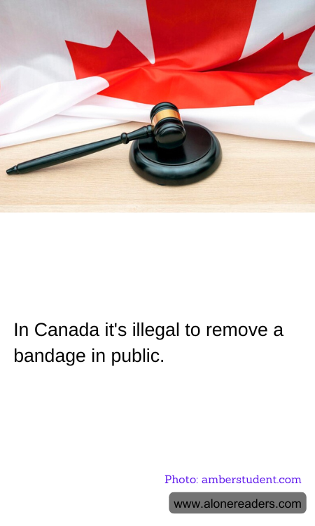 General Knowledge Learning Cards