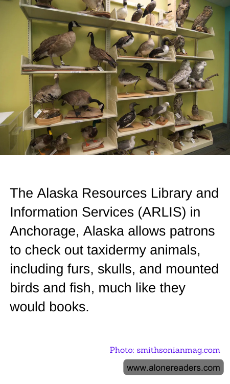 General Knowledge Learning Cards