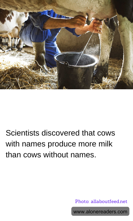 General Knowledge Learning Cards