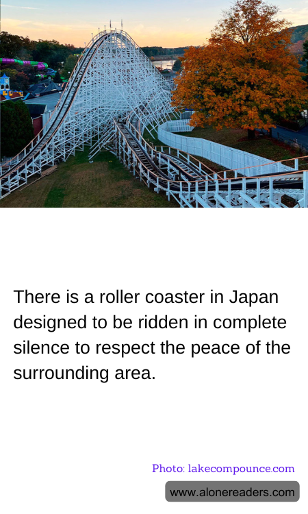 General Knowledge Learning Cards