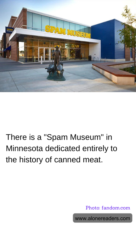 General Knowledge Learning Cards