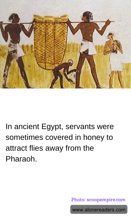 General Knowledge Learning Cards