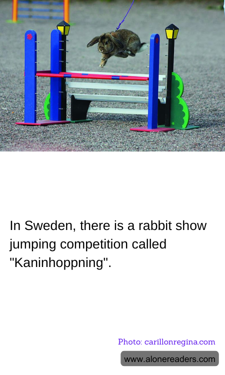 General Knowledge Learning Cards