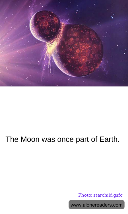 General Knowledge Learning Cards