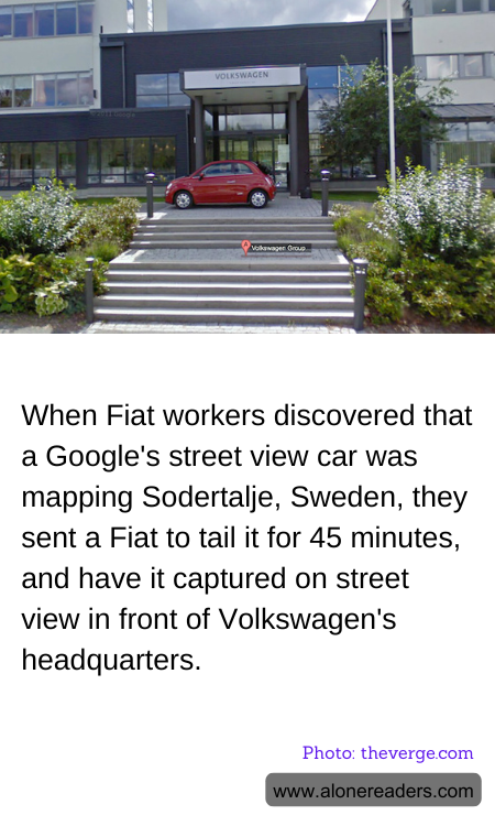 General Knowledge Learning Cards