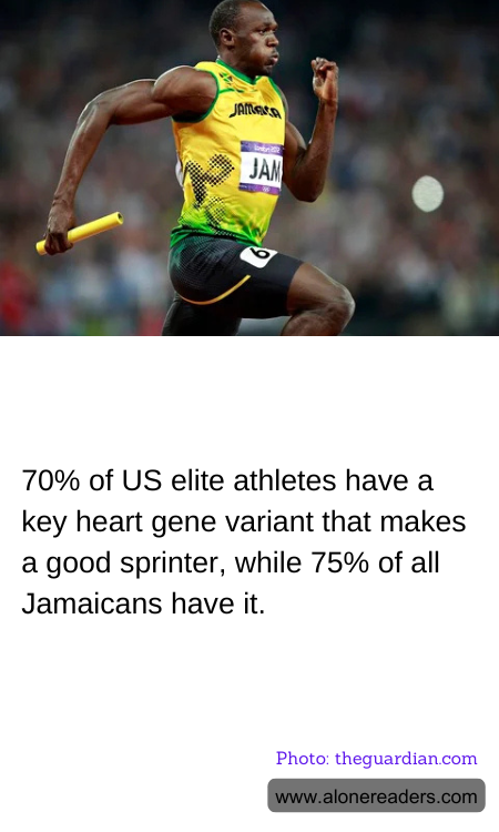 General Knowledge Learning Cards