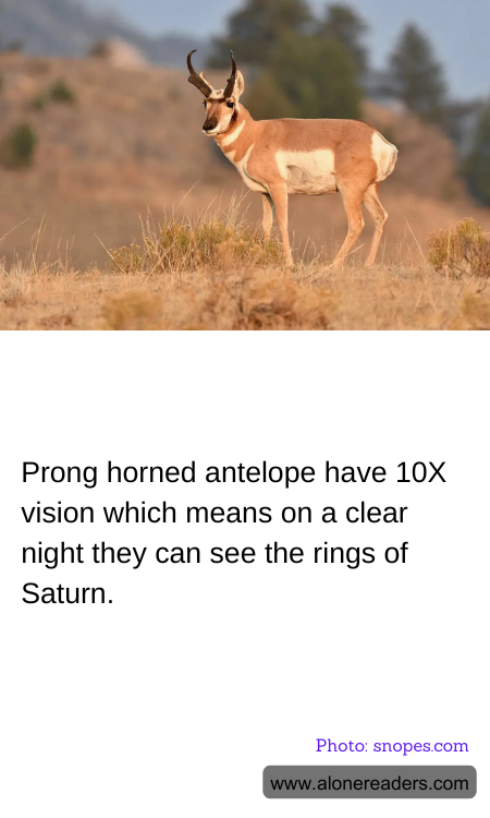 General Knowledge Learning Cards