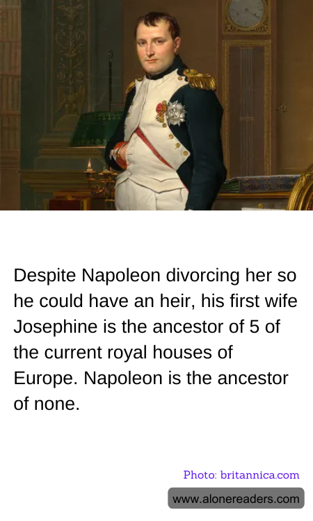 General Knowledge Learning Cards