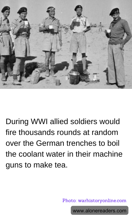 General Knowledge Learning Cards