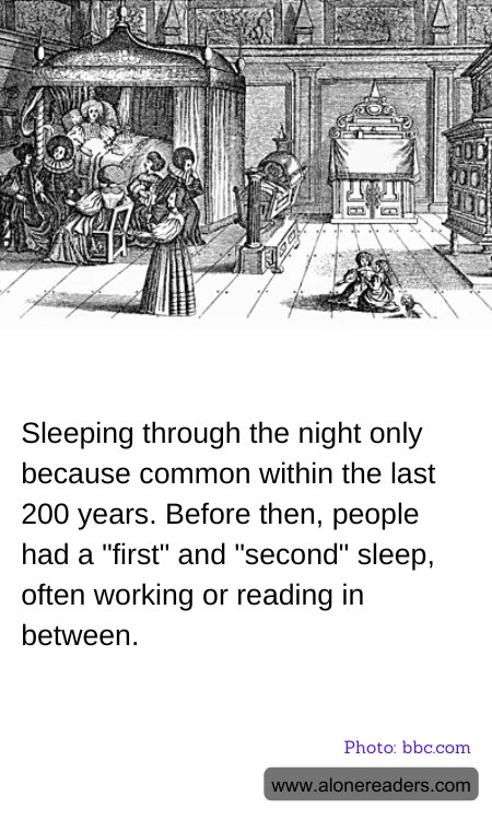 General Knowledge Learning Cards