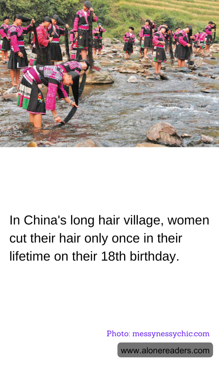 General Knowledge Learning Cards