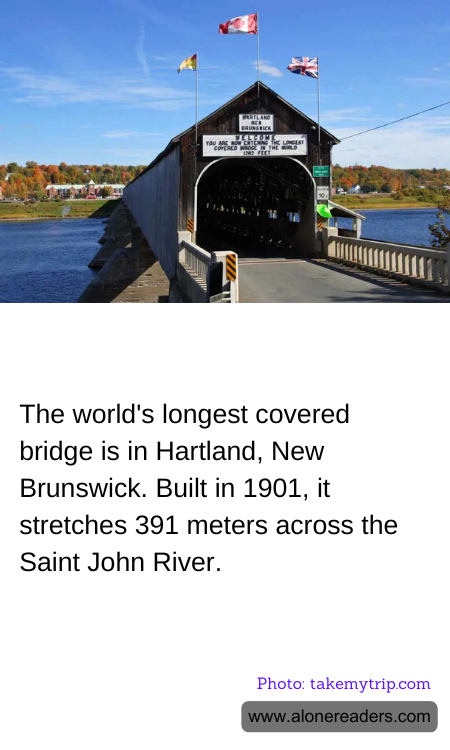 General Knowledge Learning Cards