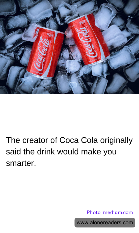 General Knowledge Learning Cards