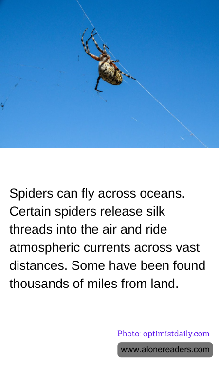 General Knowledge Learning Cards