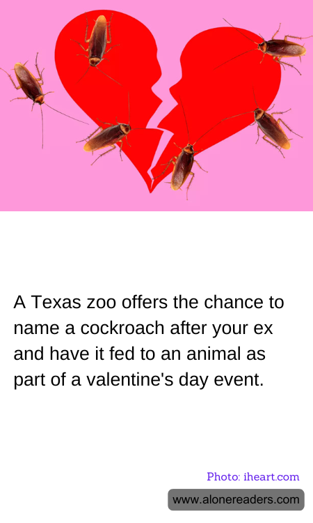 General Knowledge Learning Cards