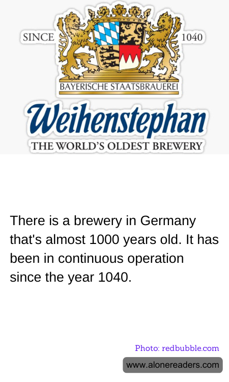 General Knowledge Learning Cards