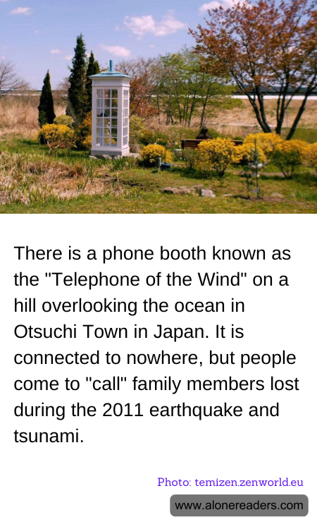 General Knowledge Learning Cards