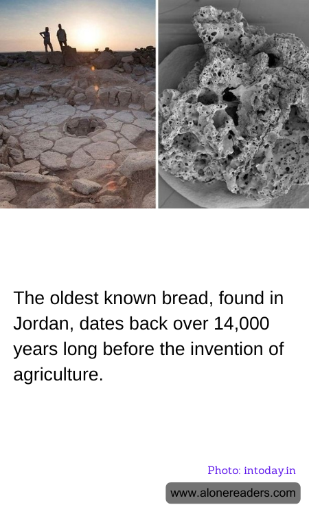 General Knowledge Learning Cards