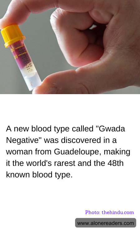 General Knowledge Learning Cards