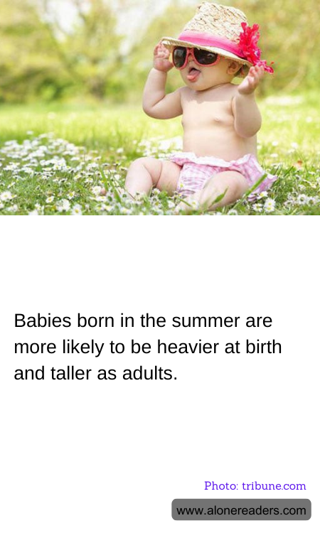 General Knowledge Learning Cards