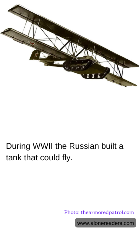 General Knowledge Learning Cards