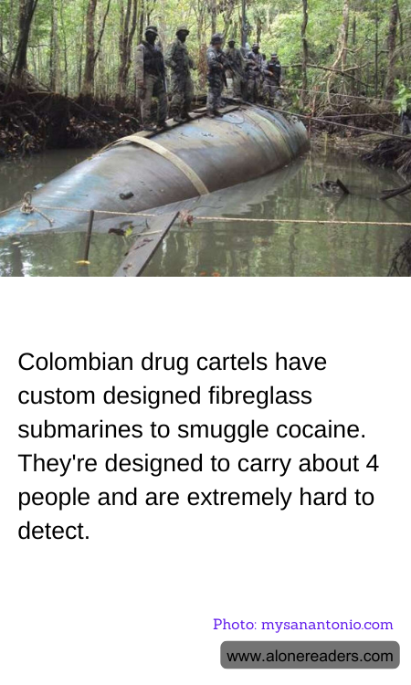 General Knowledge Learning Cards