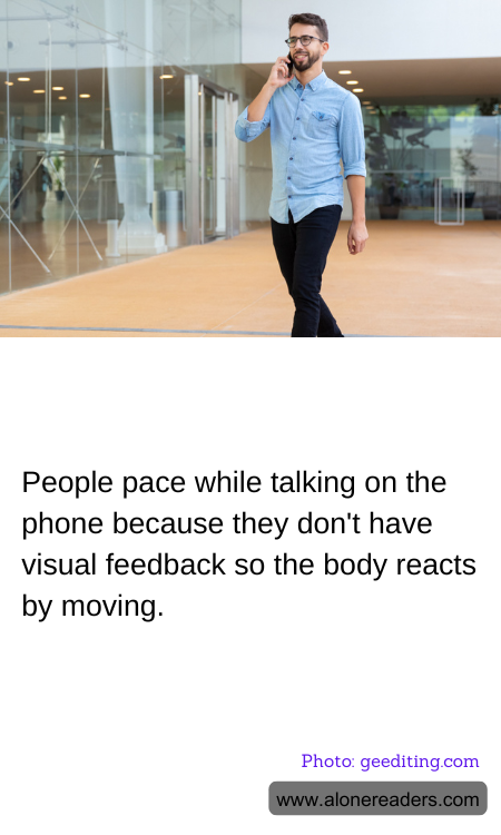 General Knowledge Learning Cards