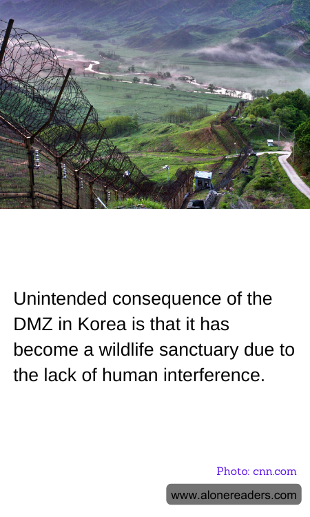 General Knowledge Learning Cards