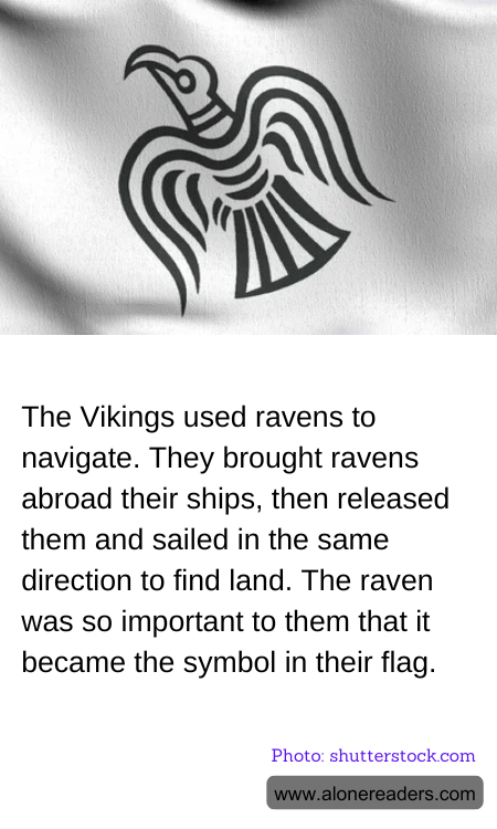 The Vikings used ravens to navigate. They brought ravens abroad their ships, then released them and sailed in the same direction to find land. The raven was so important to them that it became the symbol in their flag.