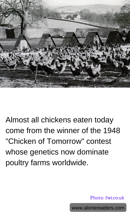 General Knowledge Learning Cards