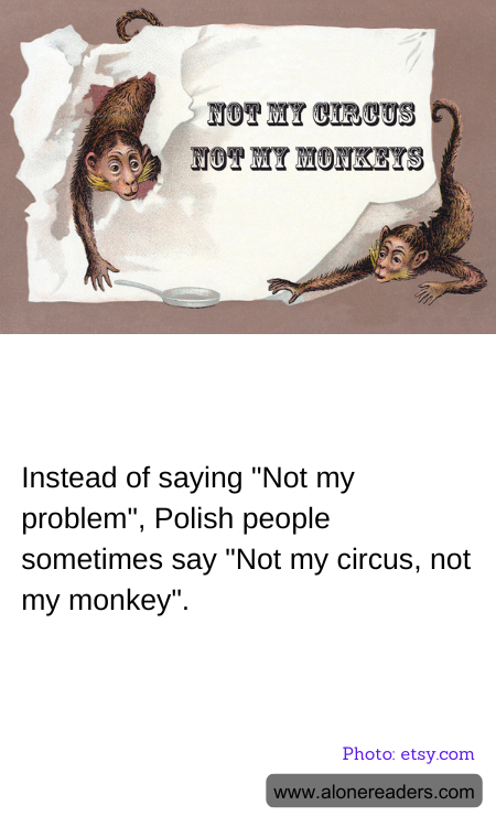 General Knowledge Learning Cards