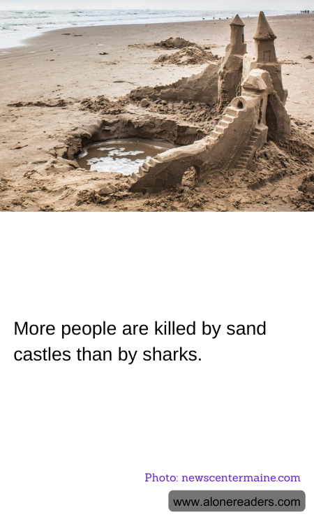 General Knowledge Learning Cards