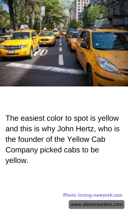 General Knowledge Learning Cards