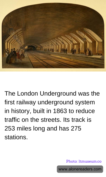 General Knowledge Learning Cards