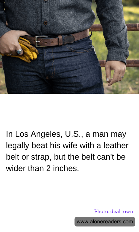 General Knowledge Learning Cards