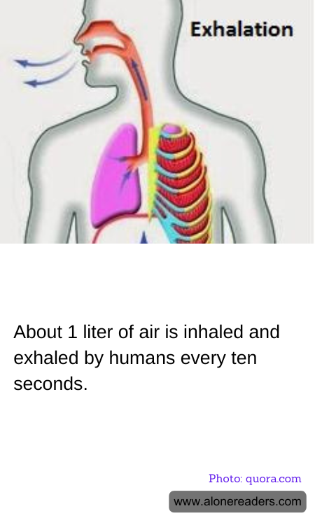 General Knowledge Learning Cards