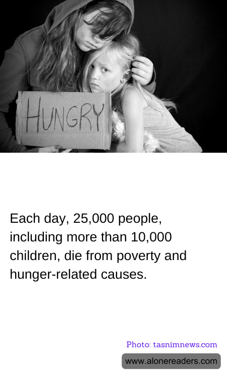 General Knowledge Learning Cards