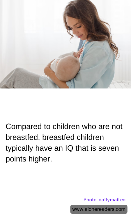 General Knowledge Learning Cards