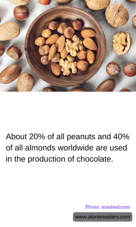 General Knowledge Learning Cards