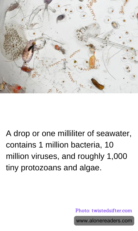 General Knowledge Learning Cards