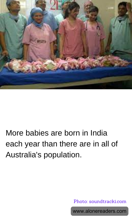 General Knowledge Learning Cards