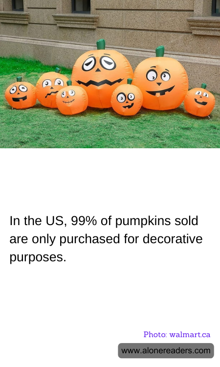 General Knowledge Learning Cards